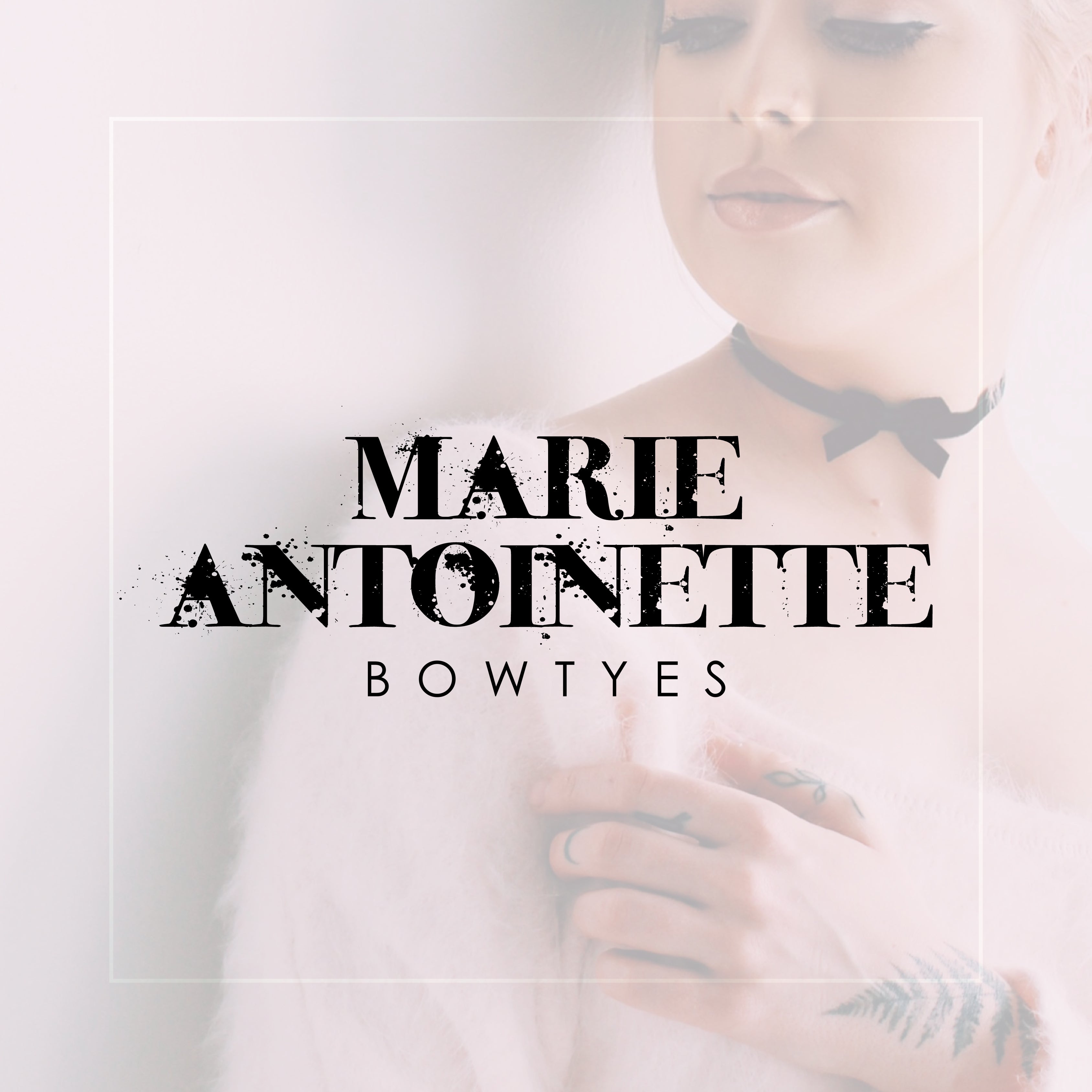 Marie Antoinette Bowtye Display + Wholesale